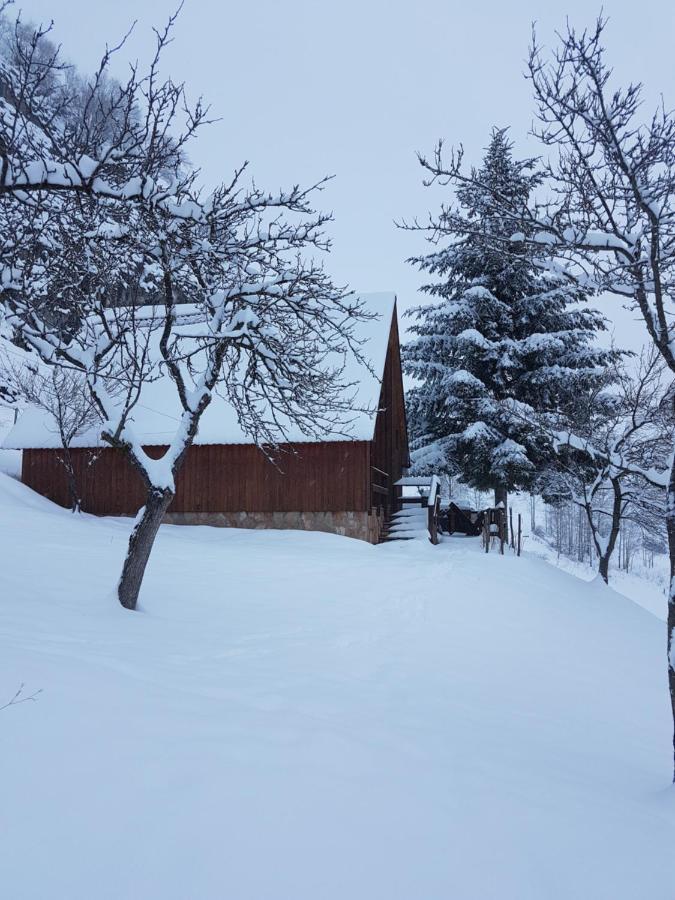 Detached House Milivoje Hotel Poscenje Exterior photo